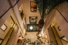 Riad KO Nova